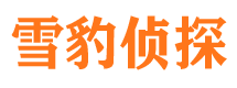 大安市婚姻调查